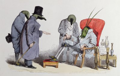 The Leech Doctors, Caricature from 